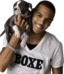 Chris Brown Chris-brown-psd13237