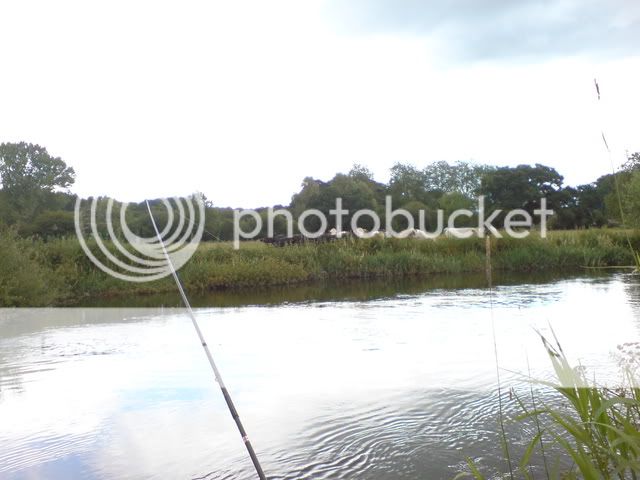 Amesbury Anglers DSC00341