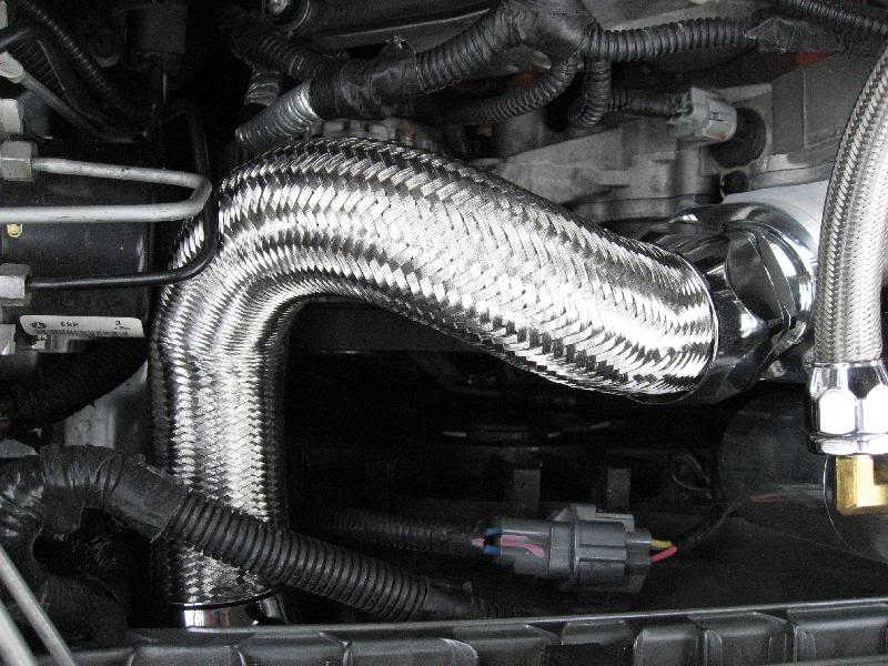 Braided Radiator Hose IMG_0187