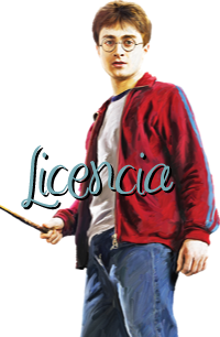 Búsquedas Terminadas Licencia3