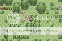 Firered Hack: Pokemon Illusions 2_zpscf1862d1