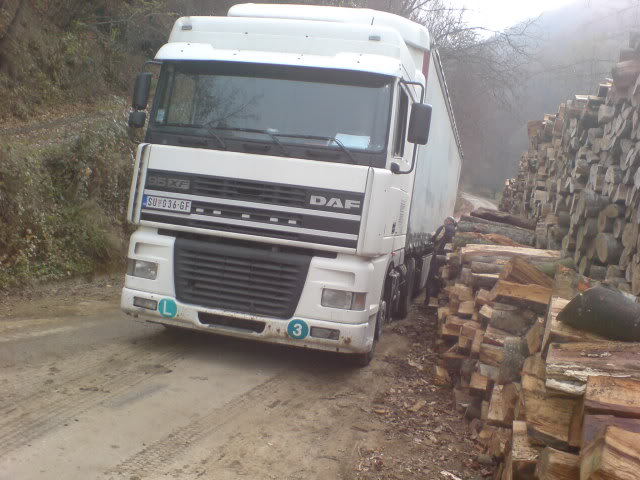 Daf 95XF DSC00801