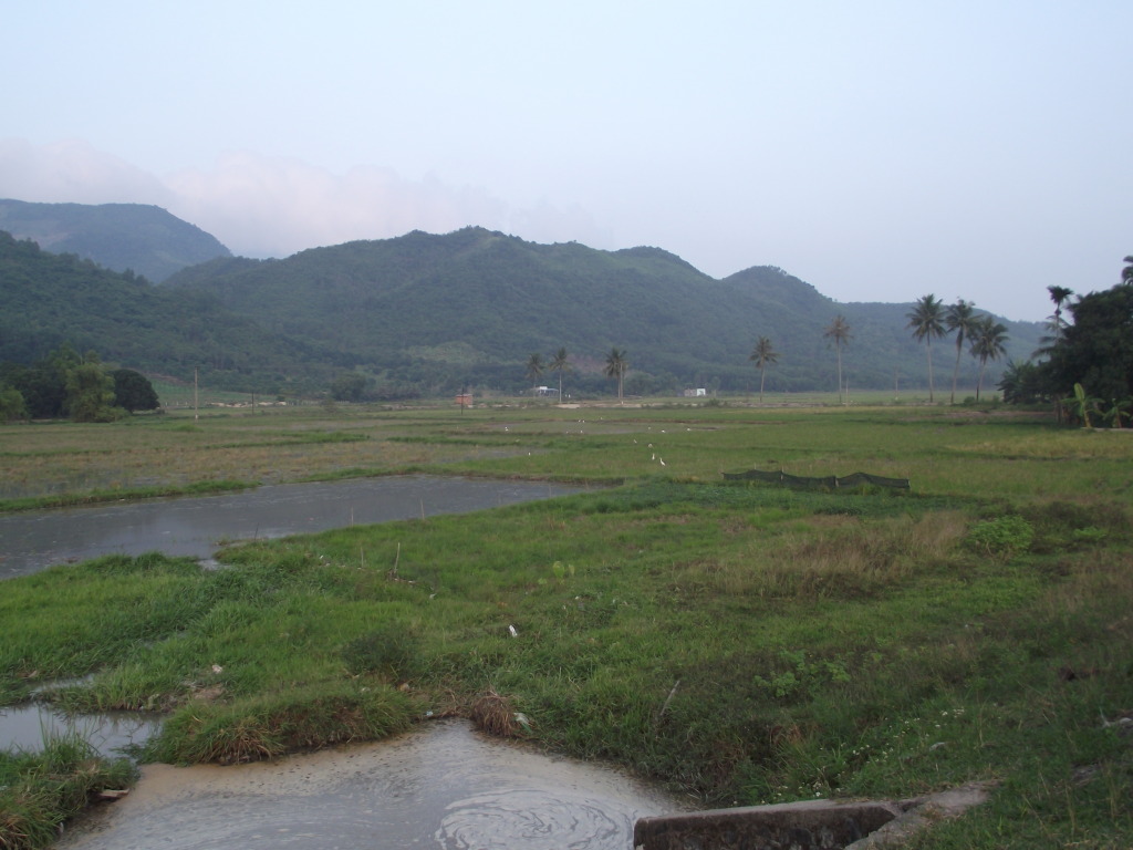 Một ngày trở lại NHA TRANG. DSCF1211