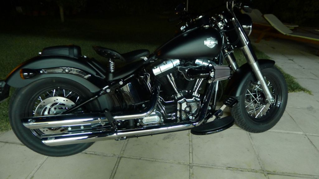 Softail slim custom  1