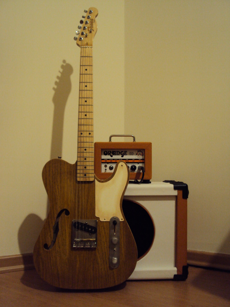 Remake, Telecaster esquire Thinline - Página 2 DSC03845_zpsu2ckfx01