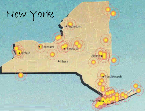 State of New York New_York