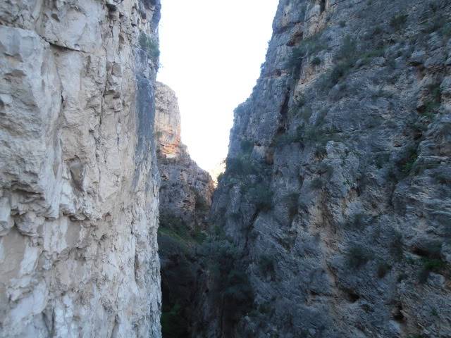 Puente de todos los santos - Página 4 F08_081212