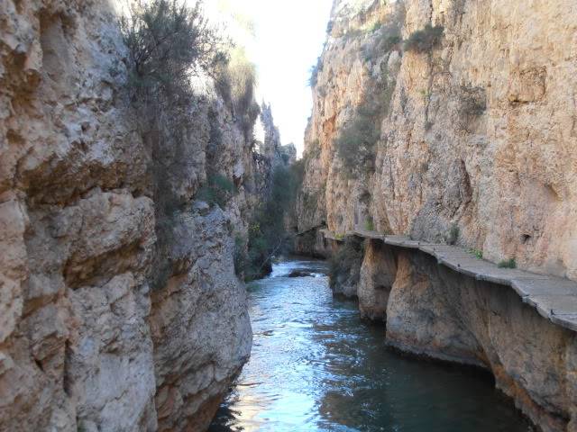 Puente de todos los santos - Página 4 F16_081212