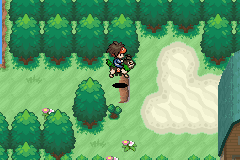 Let's Play Pokemon Life Version! (LP #???) Pokemon%20-%20Life%20Version%2075_zpsjlti4mzy