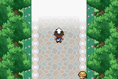 Let's Play Pokemon Life Version! (LP #???) Pokemon%20-%20Life%20Version%20126%205_zpsnegaewcu