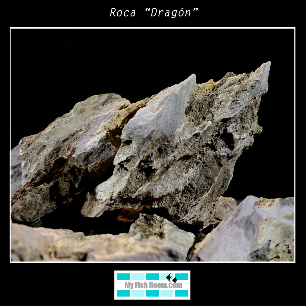 Rocas naturales para paisajismo  Roca%20ldquoDragoacutenrdquo_zpswd0j83k4