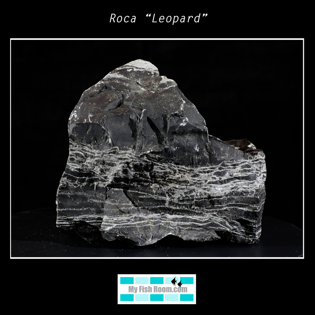 Rocas naturales para paisajismo  Roca%20ldquoLeopardrdquo5_zpswd3fx44g