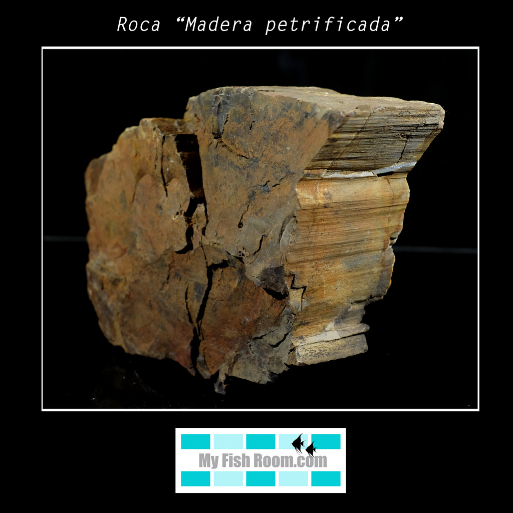 Rocas naturales para paisajismo  Roca%20ldquoMadera%20petrificadardquo5_zpsiwtw3lhn