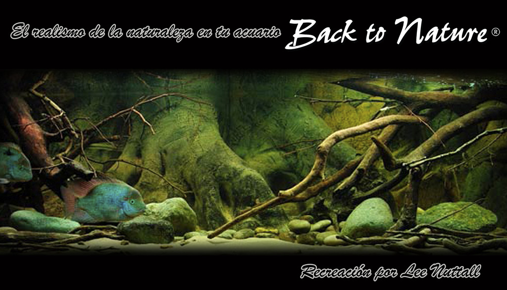 Fondos 3D "Back to nature" en My Fish Room Amazonas%20base_zps5amhinme