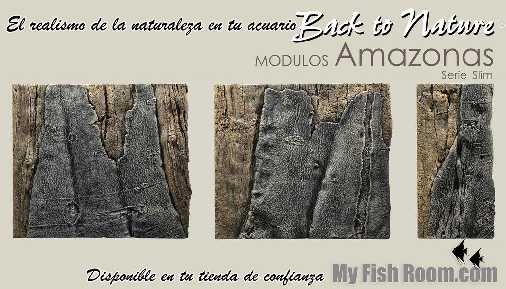 Fondos 3D "Back to nature" en My Fish Room Amazonas%20slim_zpsmocccuij