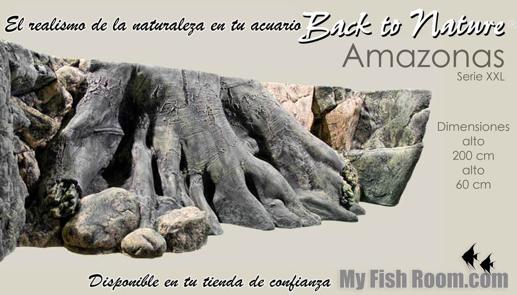 Fondos 3D "Back to nature" en My Fish Room Base%20amazonas%20xxl2_zpsyxqwnysg