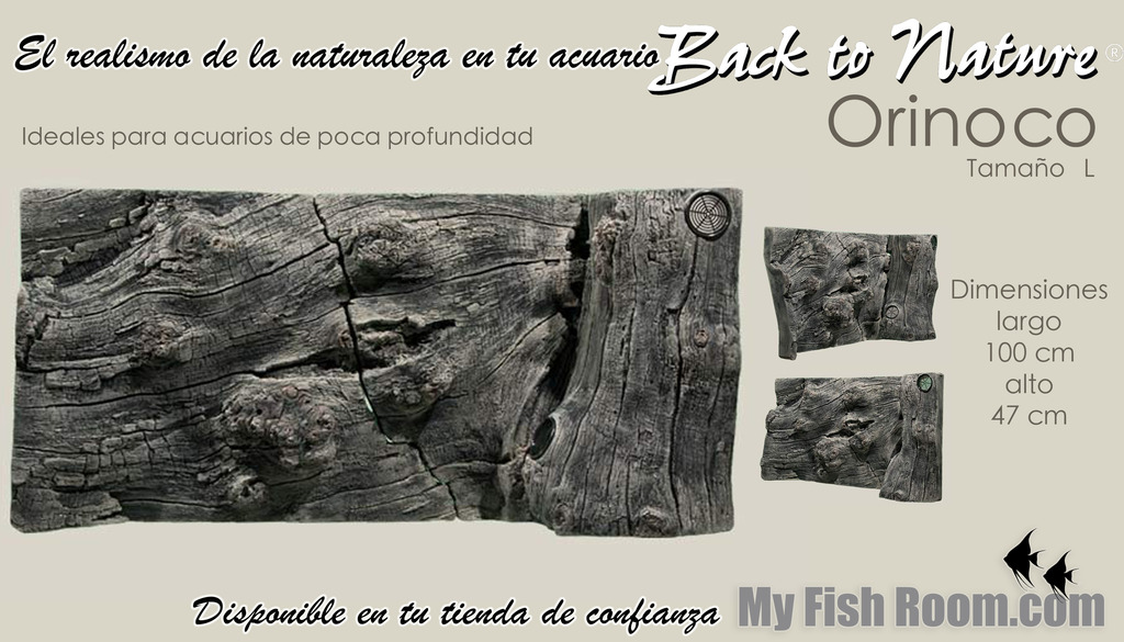 Fondos 3D "Back to nature" en My Fish Room Base%20amazonas%20xxl_zpskwqa1ezw