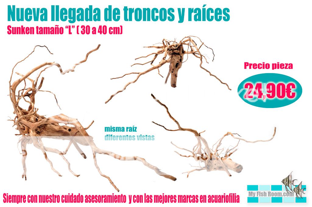 Nueva llegada de troncos naturales - Enero Base_zpsgke0sqks