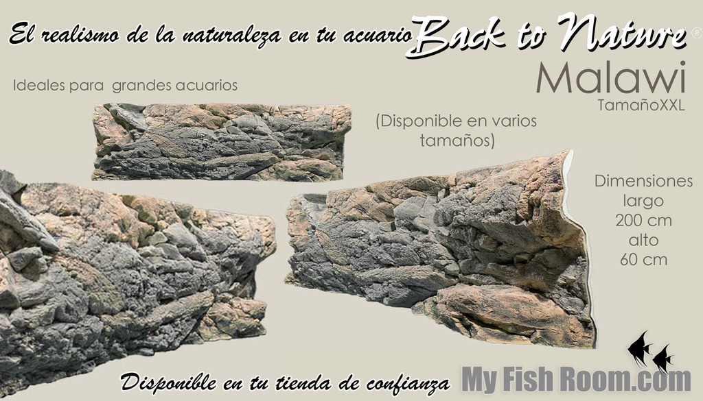 Fondos 3D "Back to nature" en My Fish Room Malawi_zpshtxfjg8r