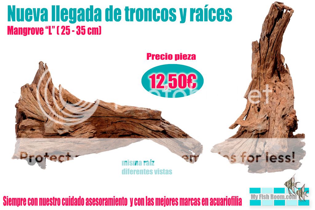 Nueva llegada de troncos naturales - Enero Mangrove%202_zpsgvelmc81