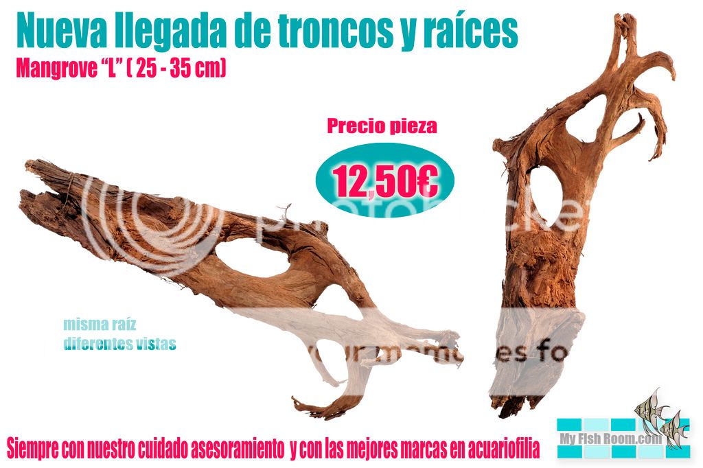 Nueva llegada de troncos naturales - Enero Mangrove%203_zpsoi0ovucm