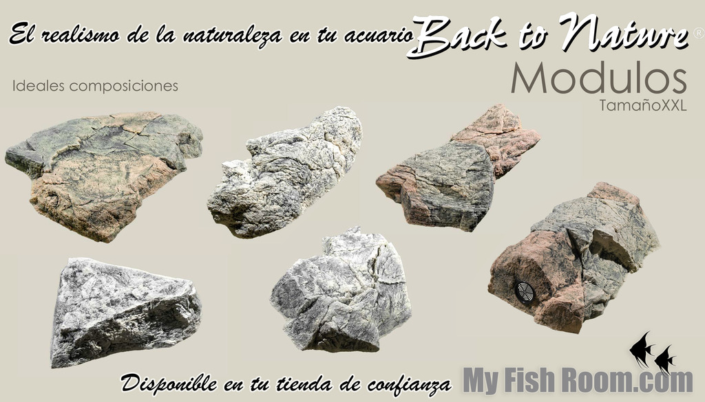 Fondos 3D "Back to nature" en My Fish Room Modulos_zpsrayjh6me