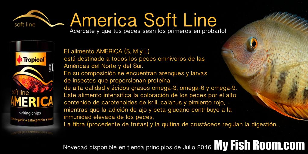 Nueva linea de alimentación premium para Ciclidos Softline%20america%20cartel_zpstcfw5vwk