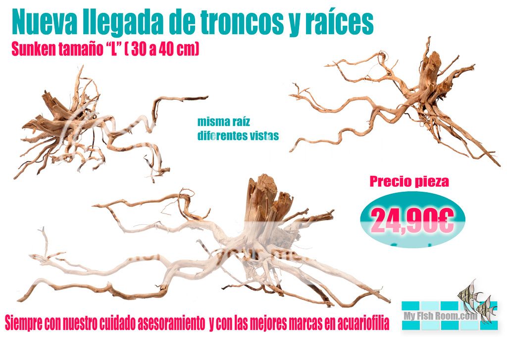 Nueva llegada de troncos naturales - Enero Sunken%20L%202_zps9aieltd8