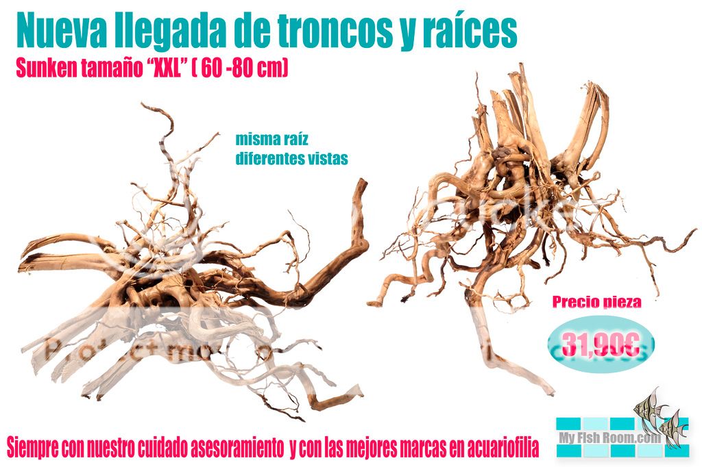 Nueva llegada de troncos naturales - Enero Sunken%20XXL%202_zpsstliqf0o