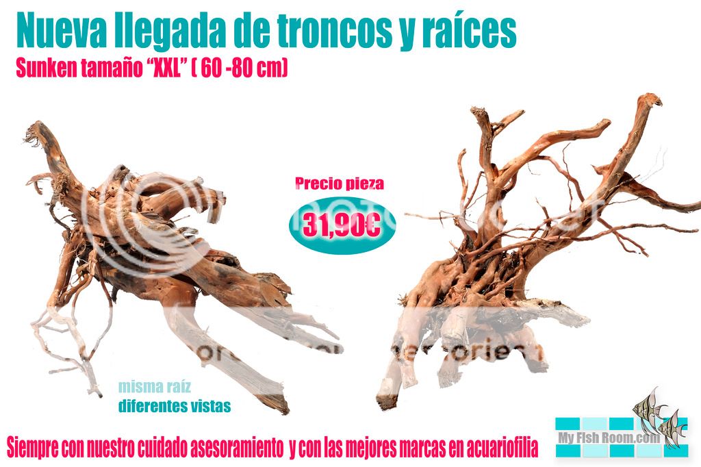 Nueva llegada de troncos naturales - Enero Sunken%20XXL%203_zpsy22tg8dp