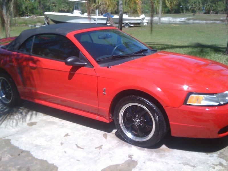 My 99 SVT Cobra Vert 094