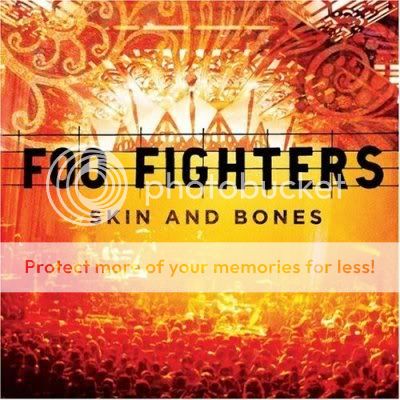 Foo Fighters Skin