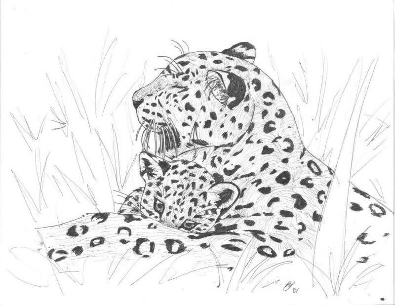 Anne Drown's profile. Leopards