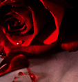 |Rosenrot ◊