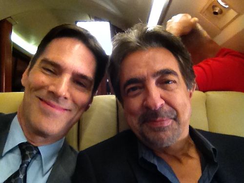 Thomas Gibson a Twitteren Tumblr_m6x5mxAJUD1qje8kto1_500