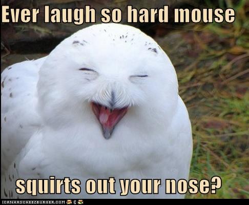 Okie from Recaps - Page 4 Funny-pictures-ever-laugh-so-hard-mouse-squirts-out-your-nose
