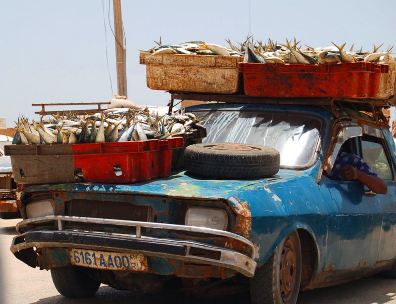 Dacia buna la toate.  108528