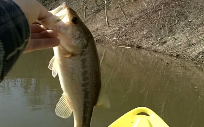 FIRST FISH OF 2011 Firstfish