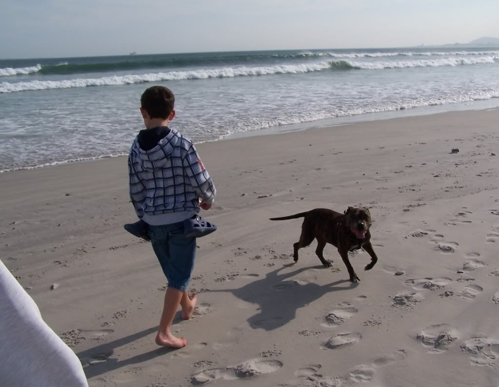 Duke's first trip to the beach 101_0146crop