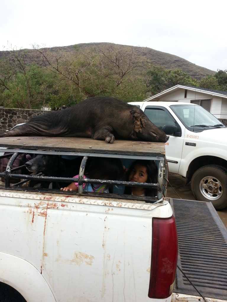 Stab um Pack um Rack um 115lb Sow BIGDOGS 20130126_145544_zpsf4f179b2