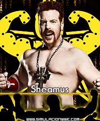 Royal Rumble 2014 [26/01/2014]  Sheamus-1