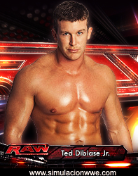 Royal Rumble 2012 [29-01-2012] Roster-Card-Raw1