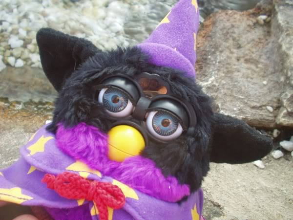 Furby mago P1010063