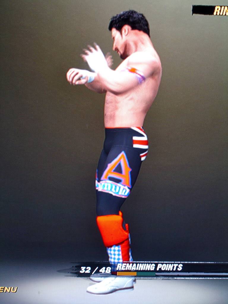 WWE 12 CAW Pictures!!!! DSC00164