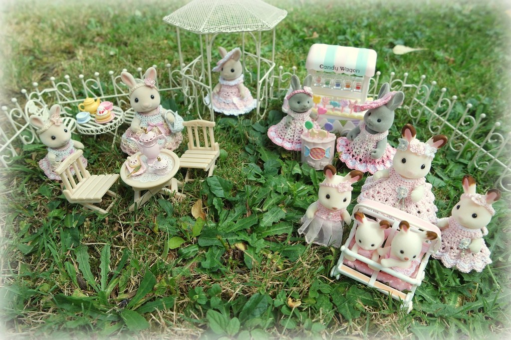 Le petit monde de mes Sylvanians: Rose Valley SAM_7884_zps48pqdiq8