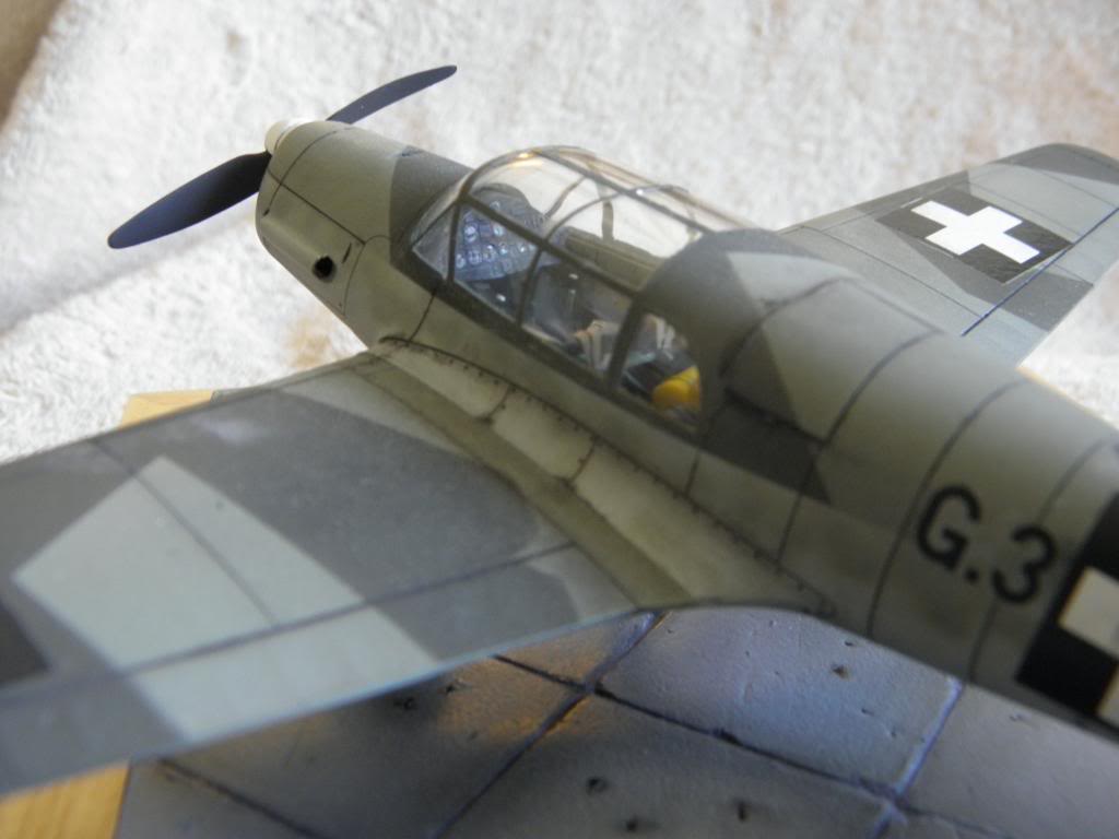 Bf 108 Taifun 1:48 P4200062