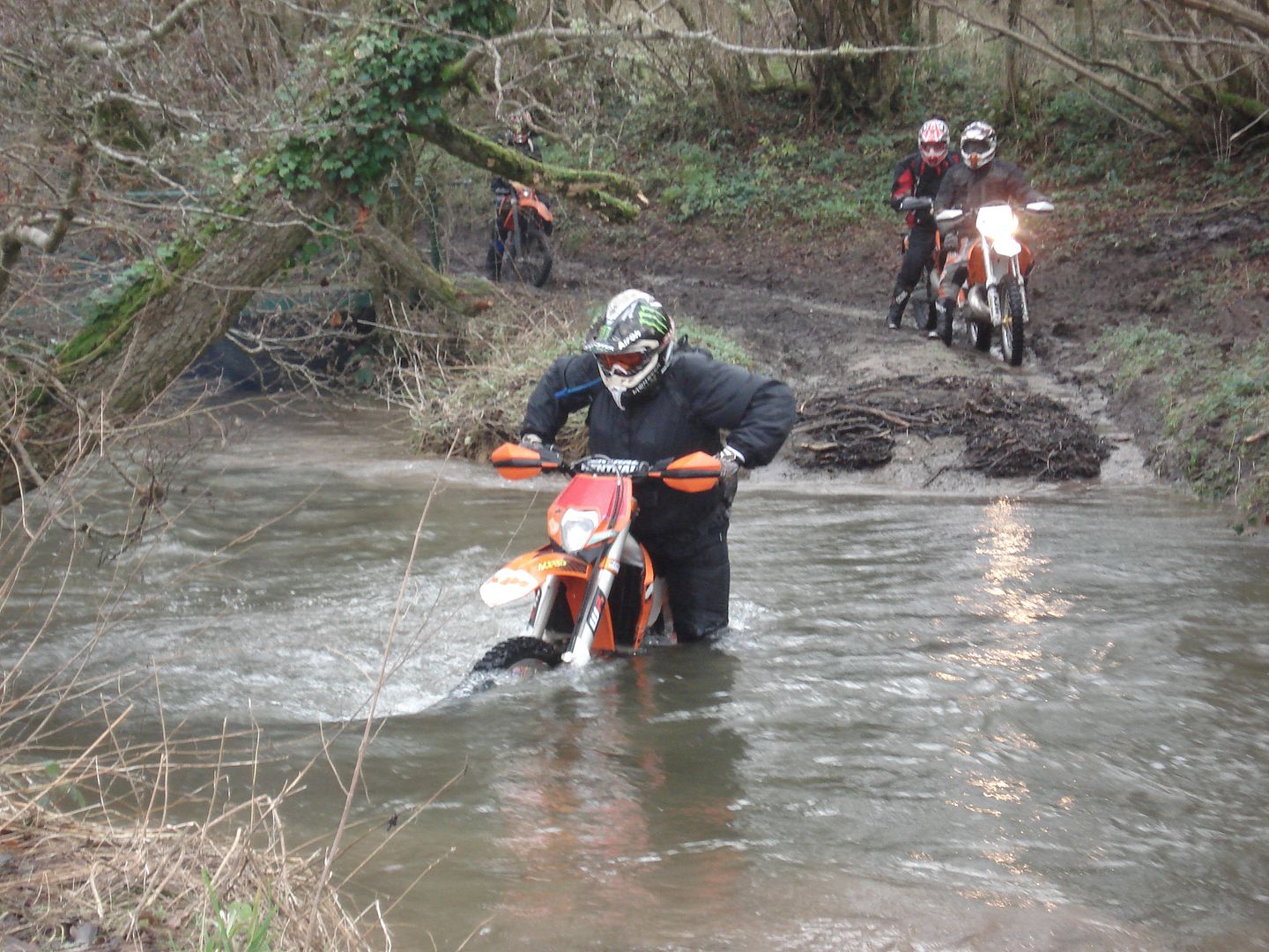 Wet day out on 2/01/2013  DSC03635_zps544f62b5