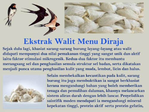 walit ginseng dan walit stevia berserta khasiatnya Walit1_zps9c4a7972