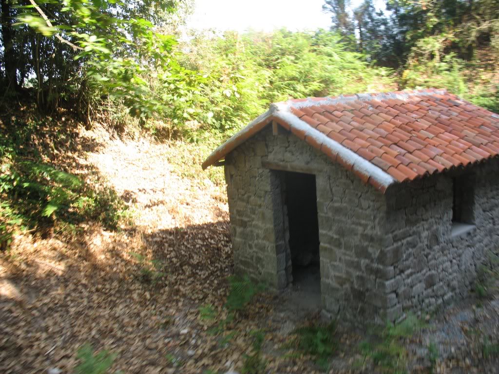 Le CFV: Chemin de Fer de la Vendée de Mortagne sur Sèvre aux Herbiers 23-vuedutrain