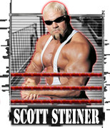 WCW Slamboree (May 19th, 2013) Steiner